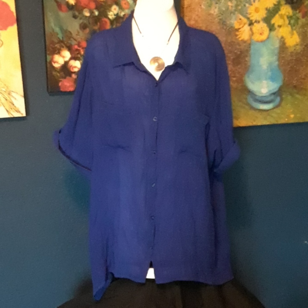 Blue short sleeved Cato blouse 26/28w sheer